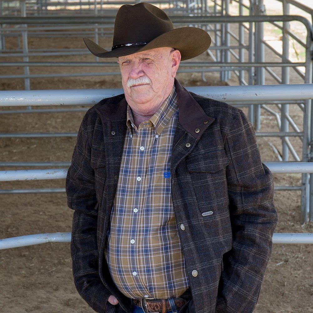 Resistol 6X Santa Clara Oak 4in. Brim - Image 2