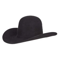 American Hats 20X Grizzly Black 4 1/4in. Brim Felt Cowboy Hat