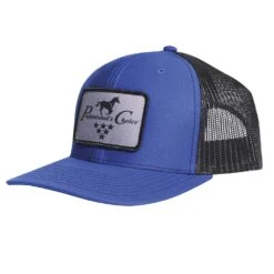 Professionals Choice Choice Logo Patch Cap